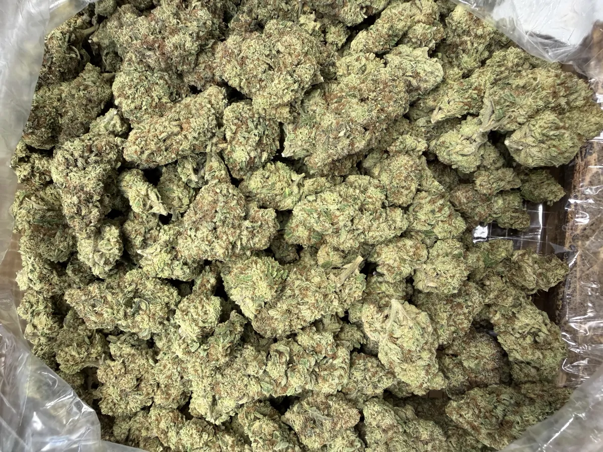 Gas Can Flower